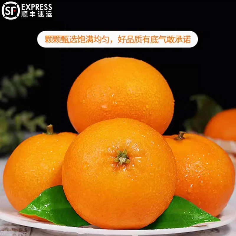 【现采现发】正宗果冻橙爱媛38号果冻橙子老少皆宜爆甜多汁薄皮新鲜