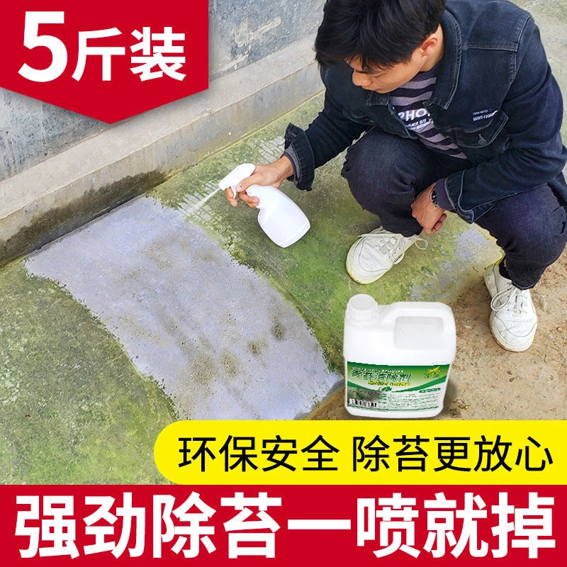 青苔清除剂水泥地面专用克星墙面房屋苔藓藻类去除绿青苔清洁