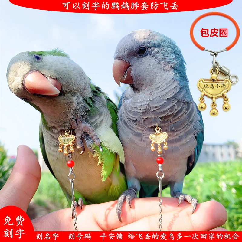 定制名字玄凤小太阳和尚专用脖套链子牡丹专用铜渡脖套免费刻号码