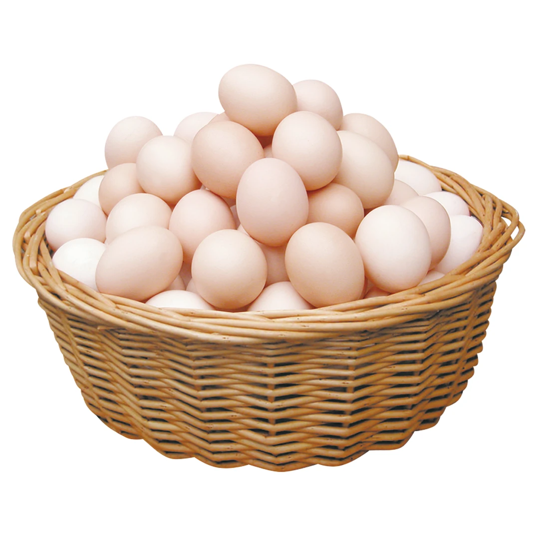 红根然红根然【初生蛋】山林散养初生蛋30枚包邮