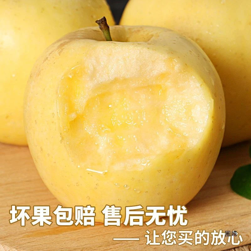 山东烟台当季黄金奶油富士苹果产地直发新鲜脆甜多汁净重4.5斤