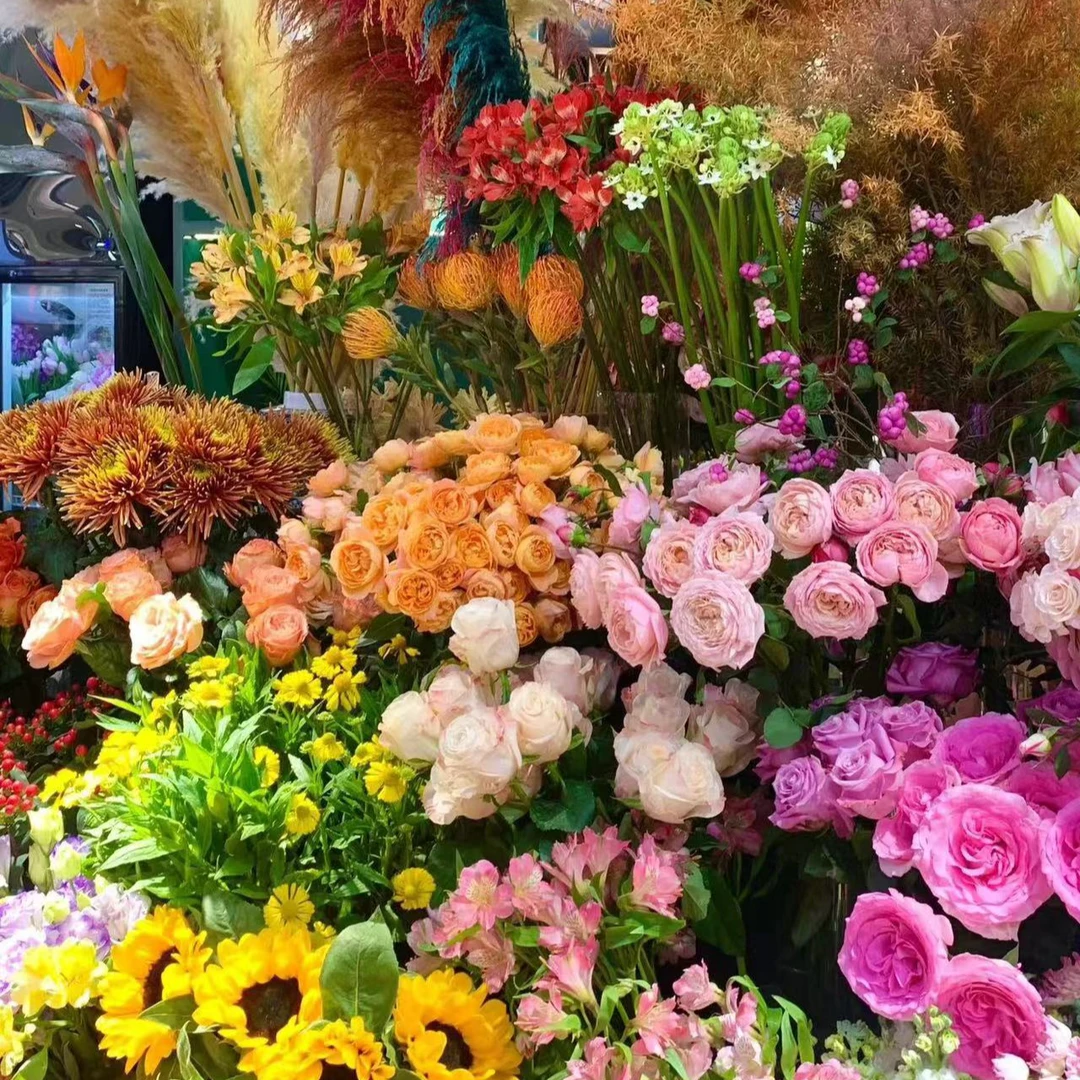 1小亮仔鲜花优选AB级云南昆明基地直发家庭插花鲜切花玫瑰