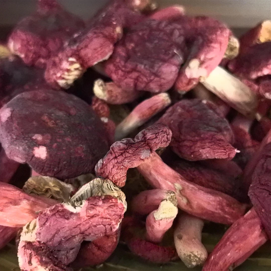 特级野生红菇干货 高品质正宗干货礼盒精品