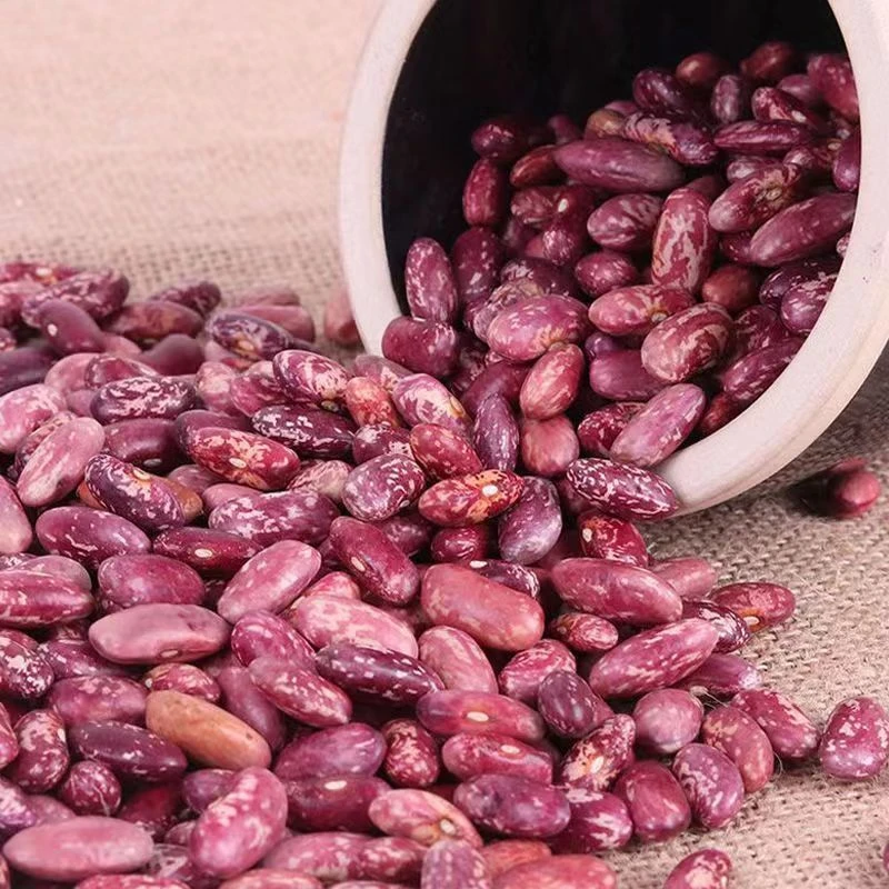 云南特产花紫花芸豆