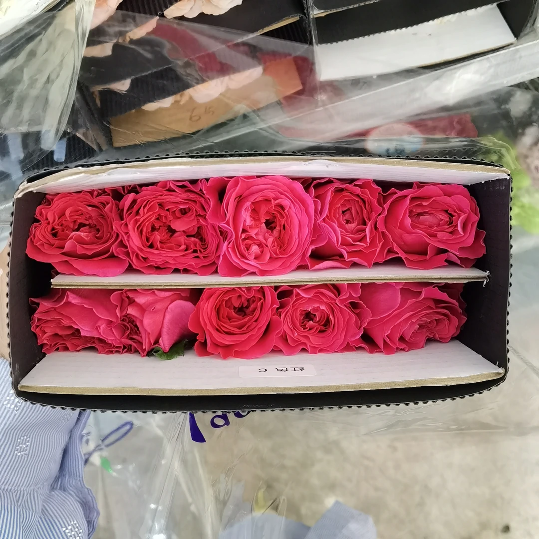 【红楼】玫瑰家用鲜花/花束  云南鲜花基地直发