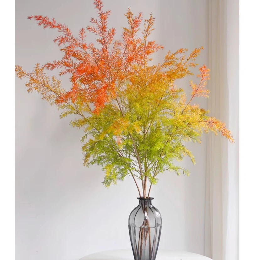 【千层金】家用鲜花/花束   云南鲜花基地直发