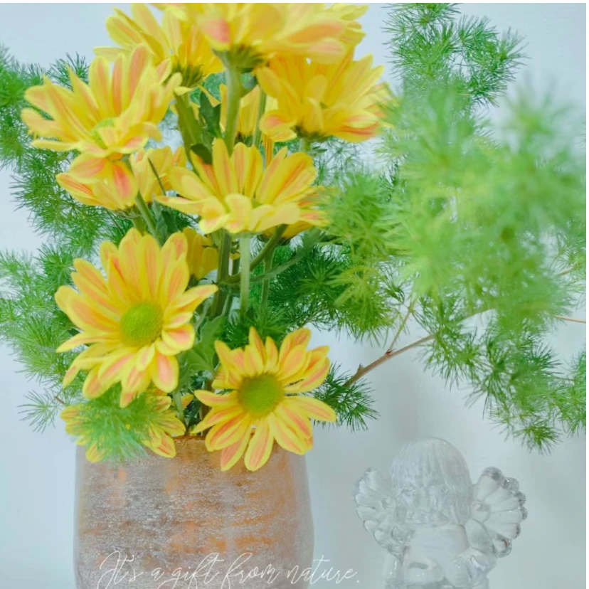 【黄斑纹】小菊家用鲜花/花束   云南鲜花基地直发