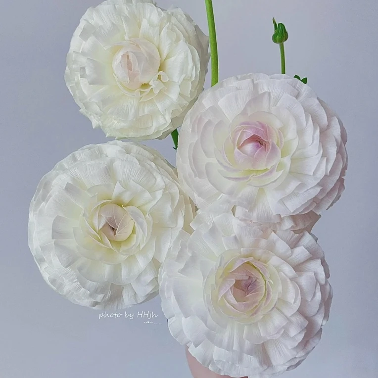 【高山雪】洋牡丹不包邮一个运费任意拍  云南鲜花基地直发