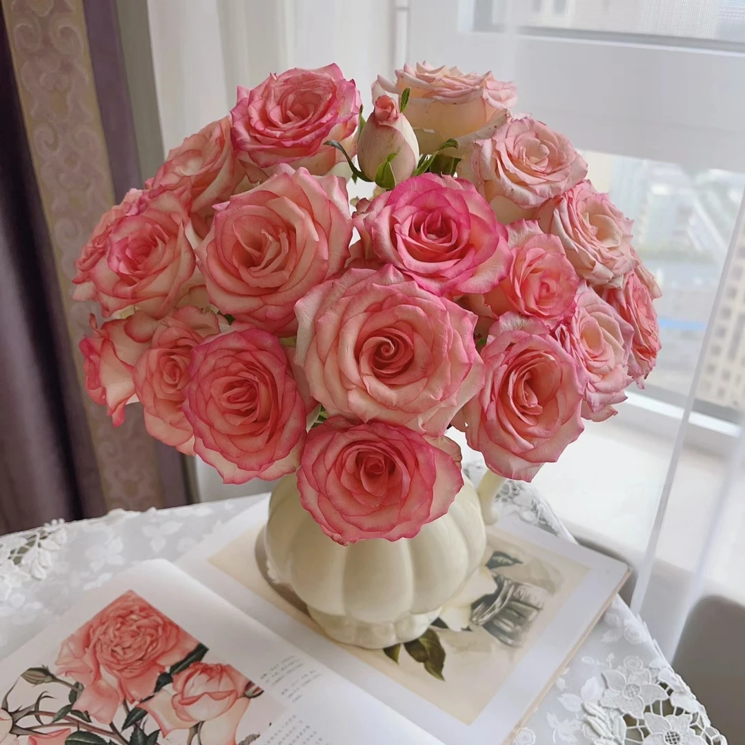 【艾莎】玫瑰鲜花/花束 云南鲜花基地直发