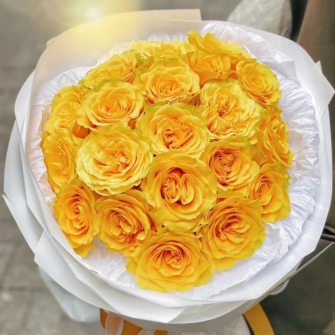 【乡村阳光】玫瑰鲜花/花束 云南鲜花基地直发