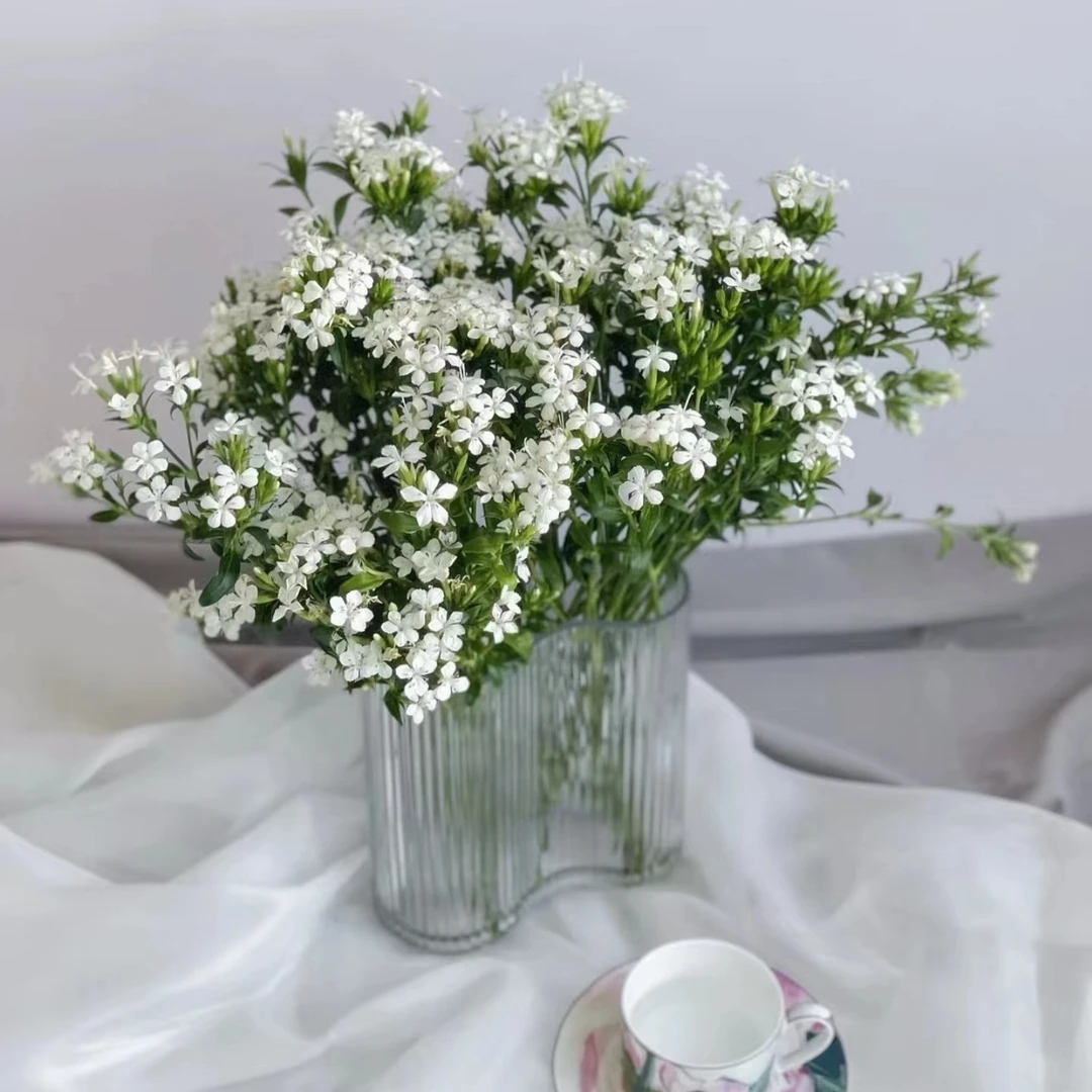 【青梅】家用鲜花/花束  云南鲜花基地直发