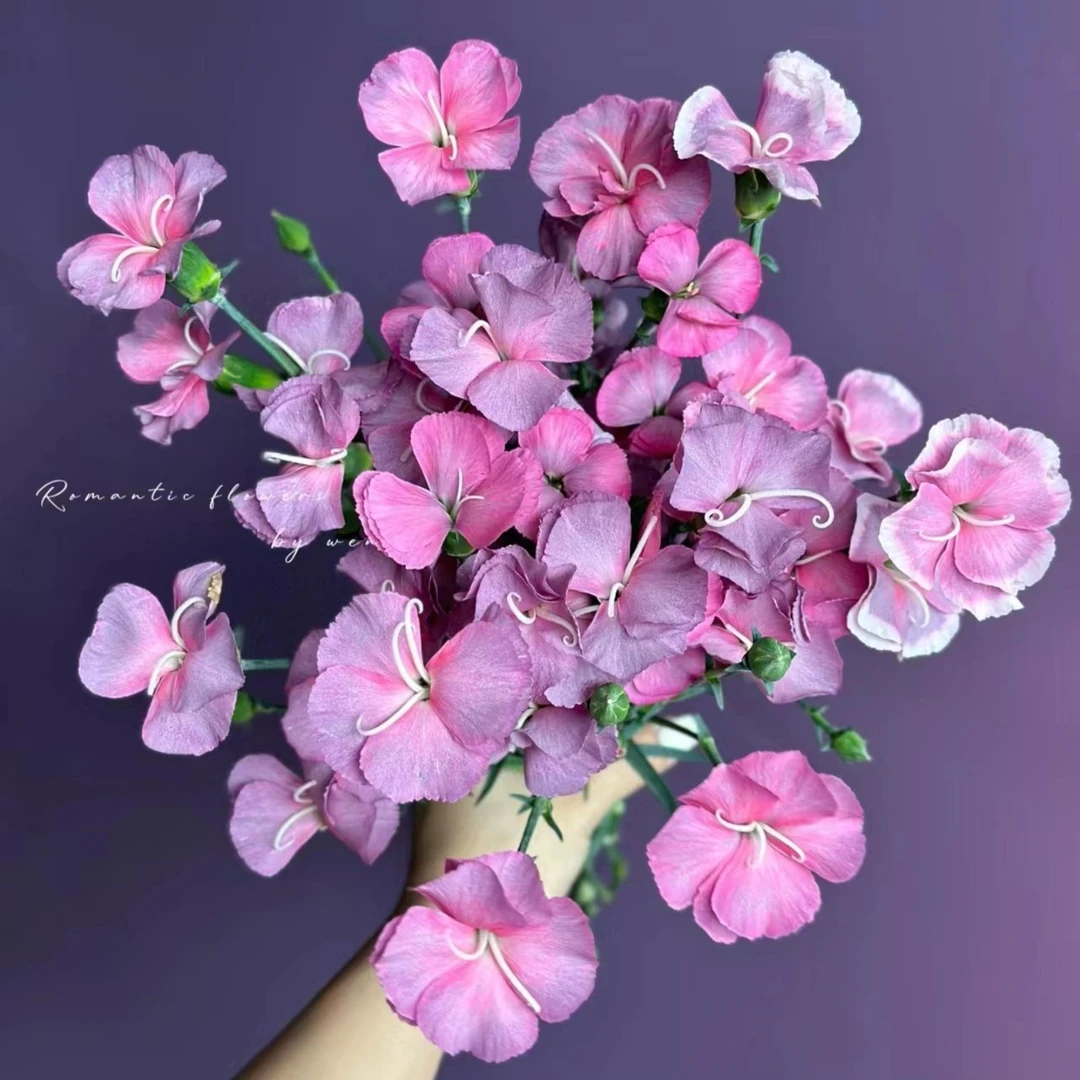 【海盛娑罗蜜】家用鲜花/花束 云南鲜花基地直发