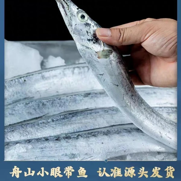 【舟山直发】舟山油带鱼顶带6条保5斤