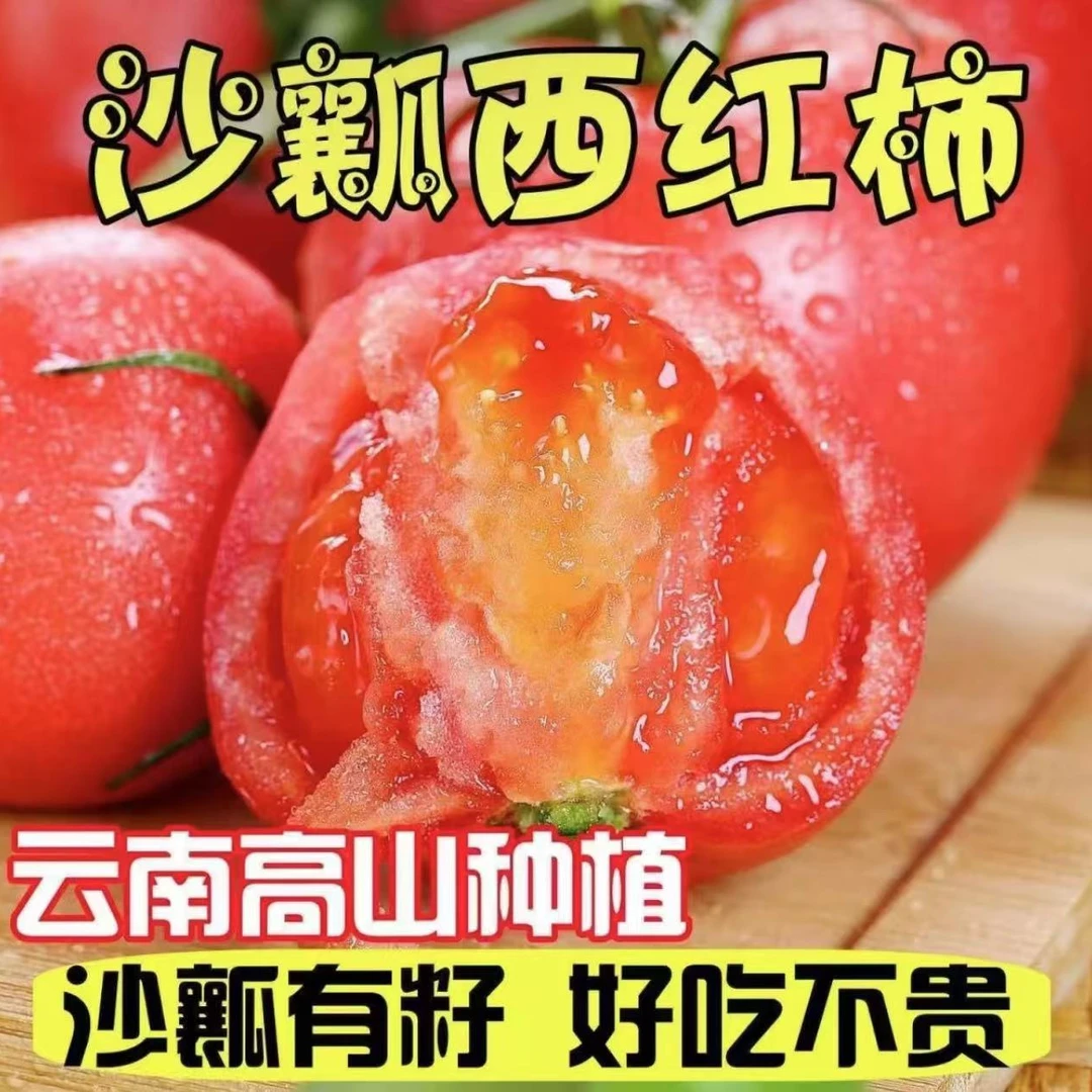云南高山种植沙瓤西红柿水分充足果肉厚实大果100-230g 净重发货