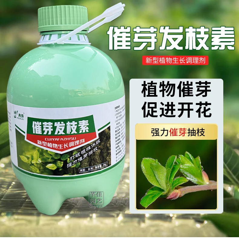 催芽发枝素植物促长精定向爆芽促花促长发枝细胞分裂素涂抹发枝精