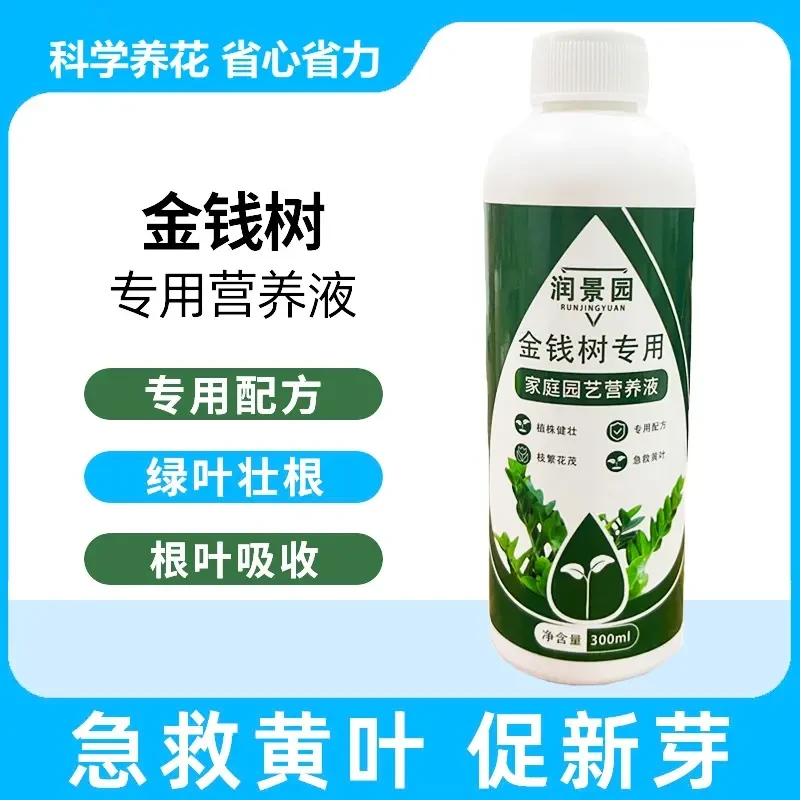 【金钱树专用】金钱树专用营养液土培花草营养液专业配方生长吸收