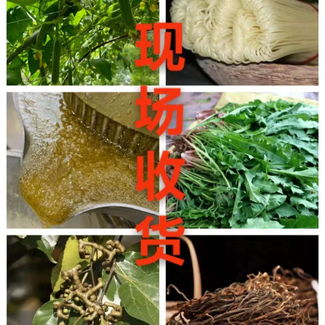 老乡蔬菜，白菜，丝瓜，萝卜等等