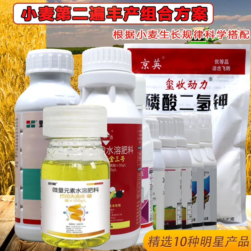 小麦抽穗扬花期第二遍丰产套餐防病防虫抗倒伏增产叶面肥