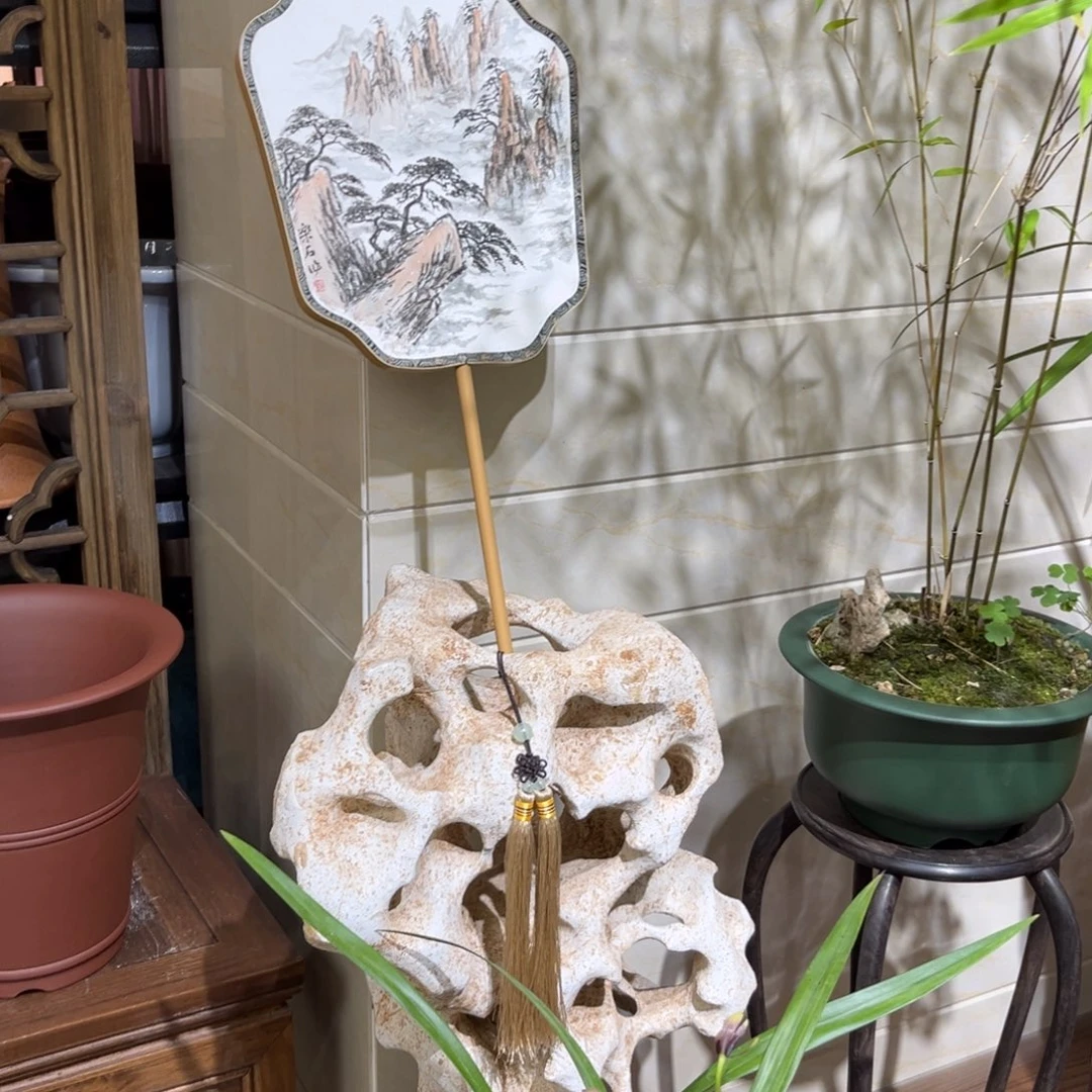 紫砂20CM（含）-50CM（不含）飘**生