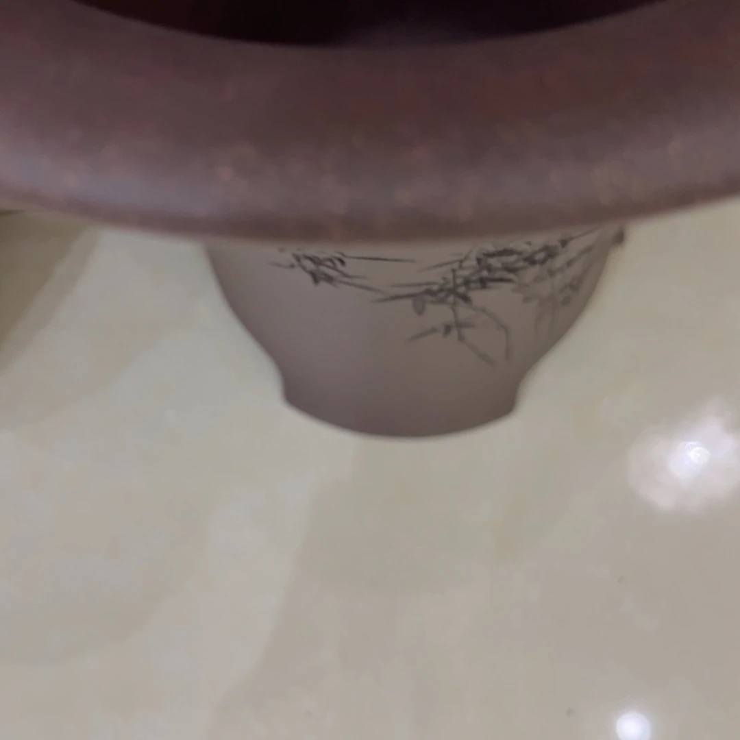 紫砂20CM（含）-50CM（不含）兰*序