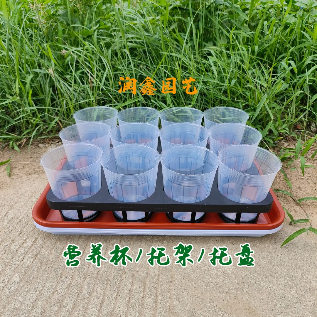 蝴蝶兰托架托盘3.5寸蝴蝶兰营养杯12孔穴盘万象盆托架白色育苗杯