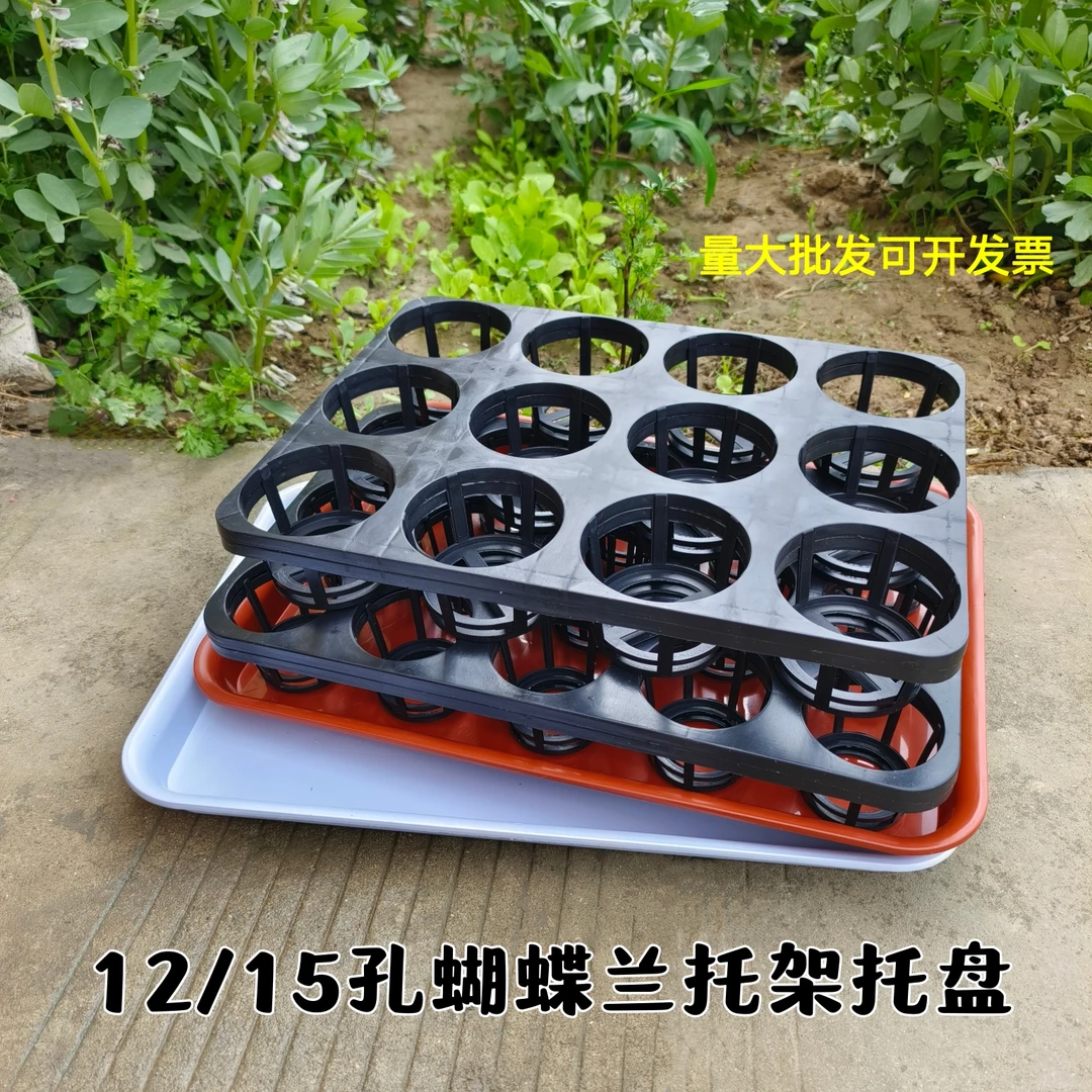双色盆蝴蝶兰托架托盘多肉托盘万象盆托架12孔15孔育苗盘加厚托架