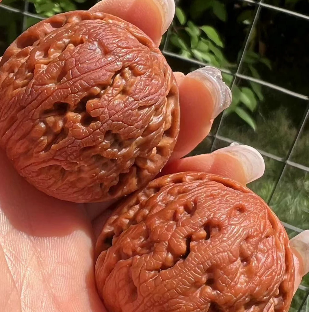 【龙珠】秦岭野生文玩核桃精选配对38mm