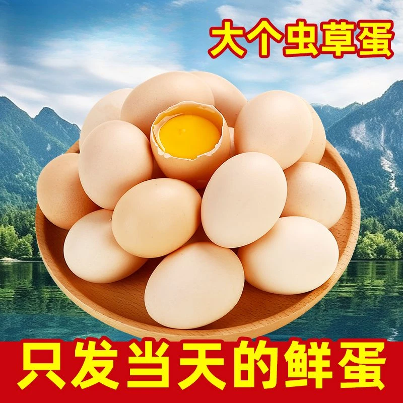 土鸡蛋正宗农家散养农村喂养新鲜草鸡蛋笨鸡蛋柴鸡蛋产地直发自然