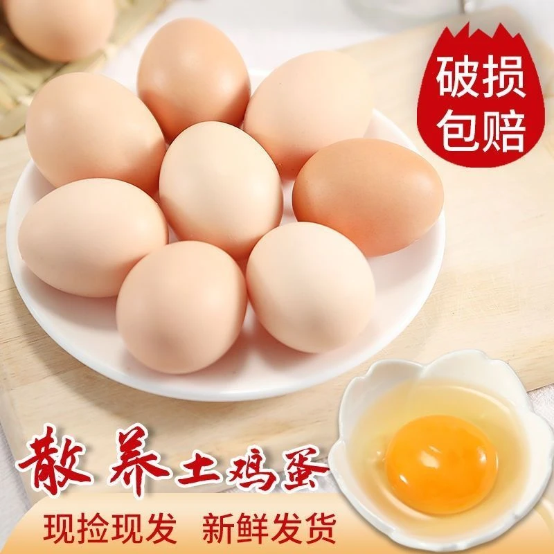 散养土鸡蛋新店冲量散养新鲜原生态笨鸡蛋一整箱营养笨草鸡蛋鲜香