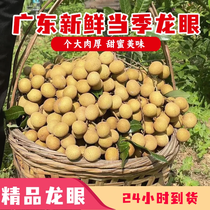 【广东省专链】新鲜龙眼广东高州石峡储良龙眼产地直发龙眼新鲜肉厚