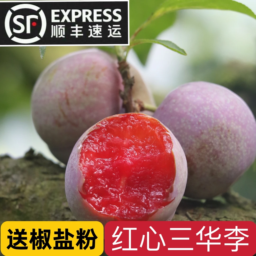 广东正宗钱排三华李红心李子1/2/3/5斤新鲜现发【顺丰包邮】