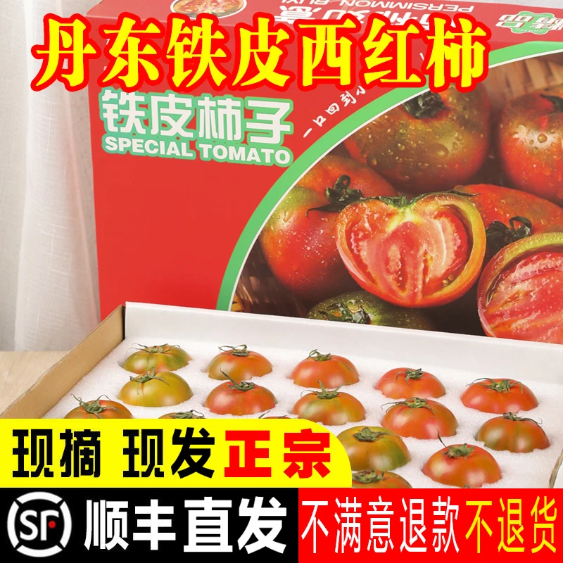 礼盒装正宗丹东铁皮西红柿番茄草莓柿子碱地新鲜水果应当季自然熟