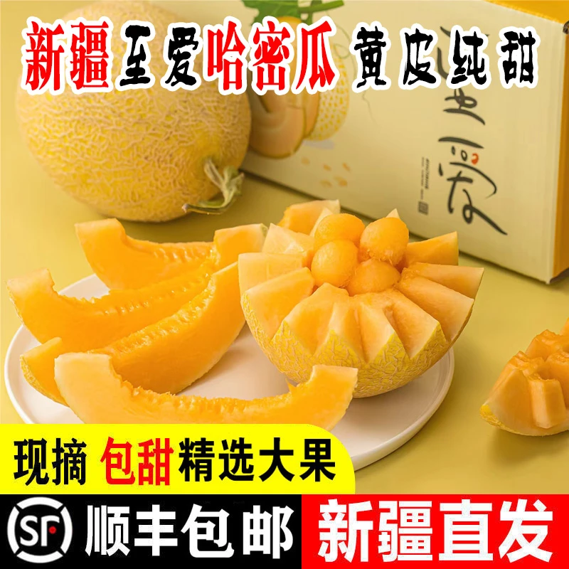 新疆至爱哈密瓜正宗黄皮甜瓜西州蜜吐鲁番新鲜水果应当季网纹脆甜