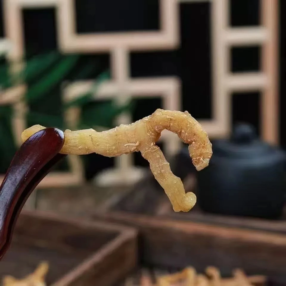 【深山好货 玉竹】