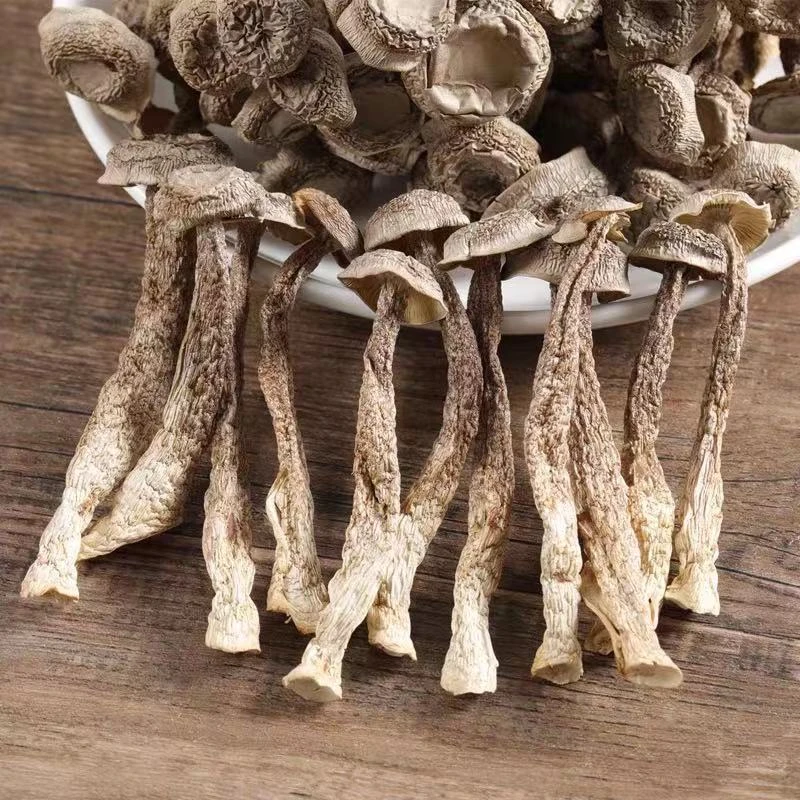 新鲜鹿茸菇（1斤2袋500g装）可炒可炖可打火锅
