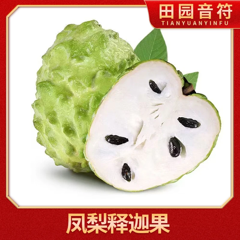 【蕙蕙专属】广西释迦果3斤/4.5斤 单果250g+ 新鲜采摘现采现发