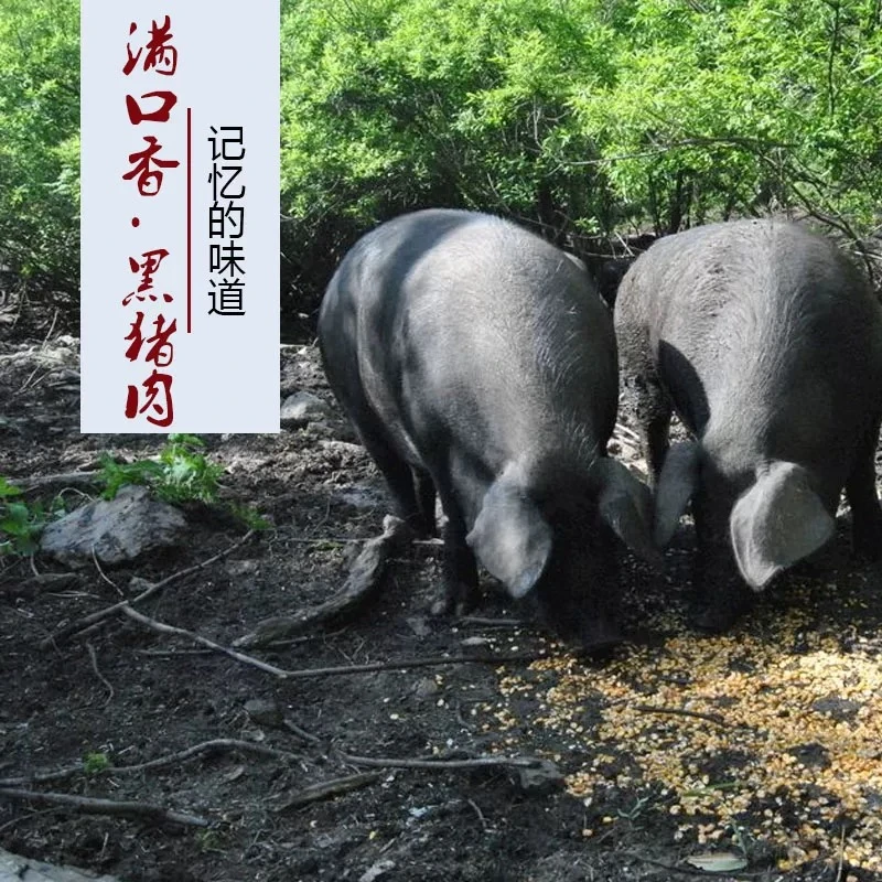 湘西跑山土黑猪/现称2500g 前后腿