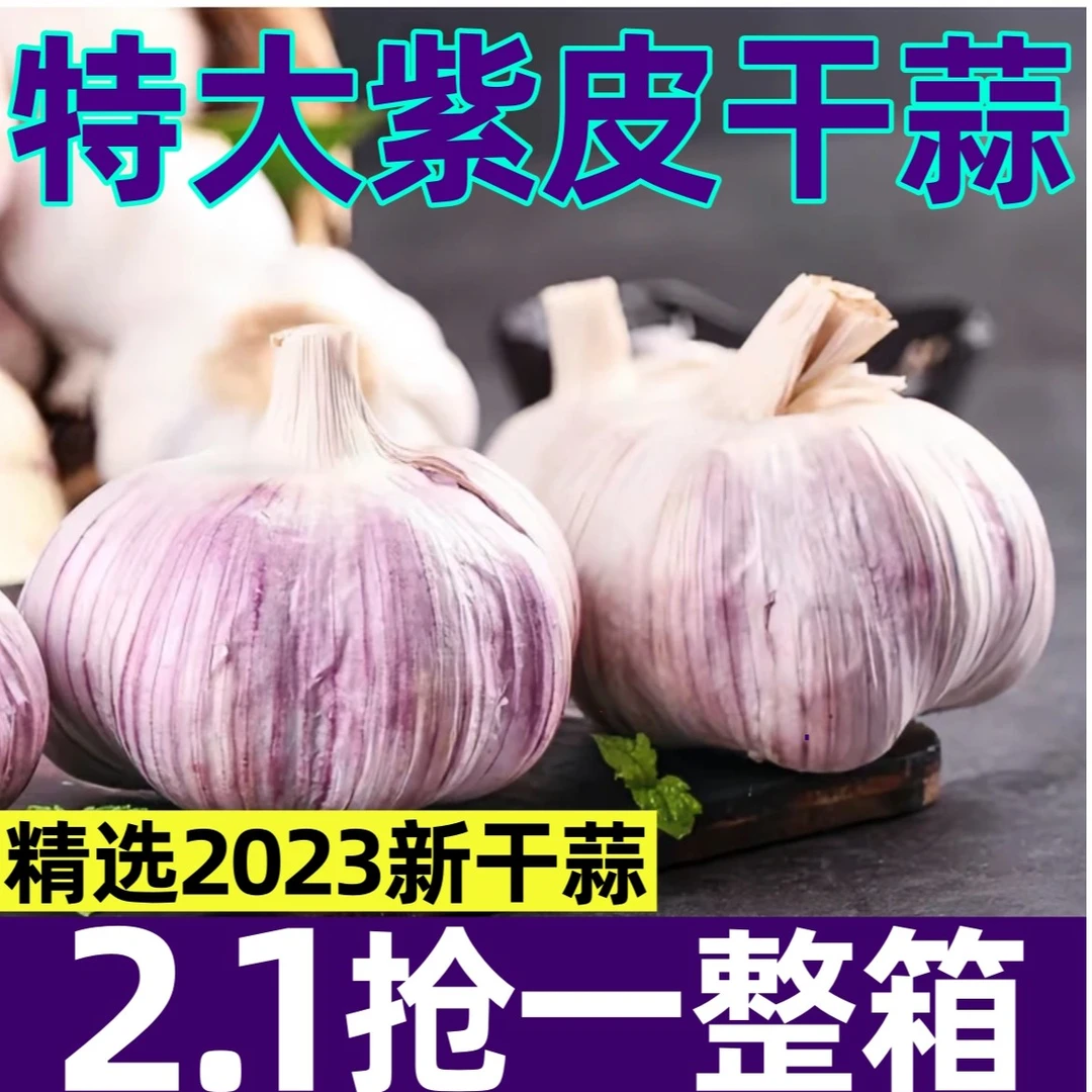 回购率高】河南新干蒜紫皮多瓣蒜新鲜大蒜3/5/10斤批发红皮大蒜头