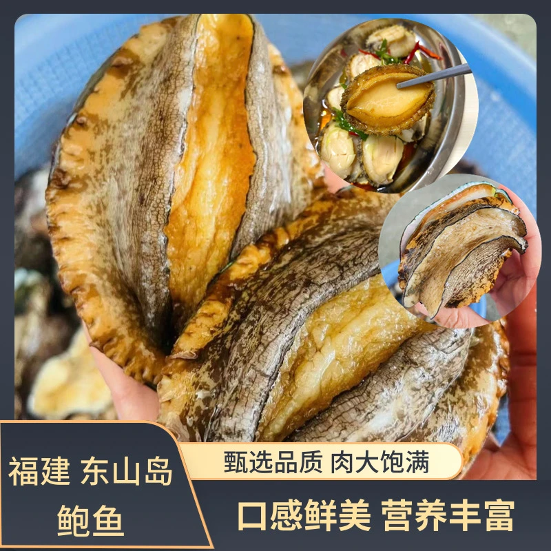 【福利】福建东山岛5-6头鲍鱼 深海海鲜 鲜活速冻锁鲜 带壳整只
