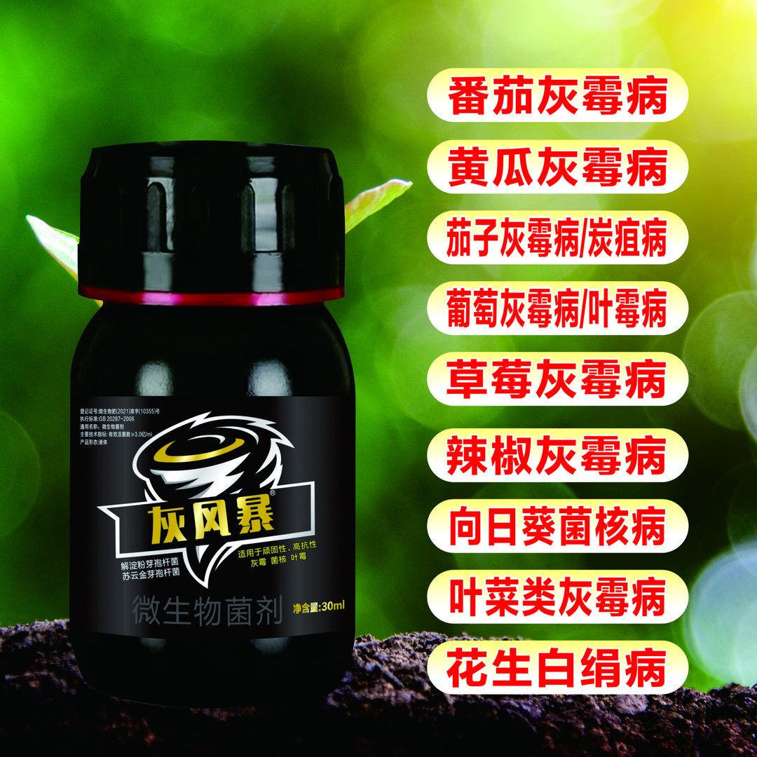 灰风暴灰霉病叶霉病菌核病顽固高抗番茄草莓辣椒黄瓜葡萄抗性