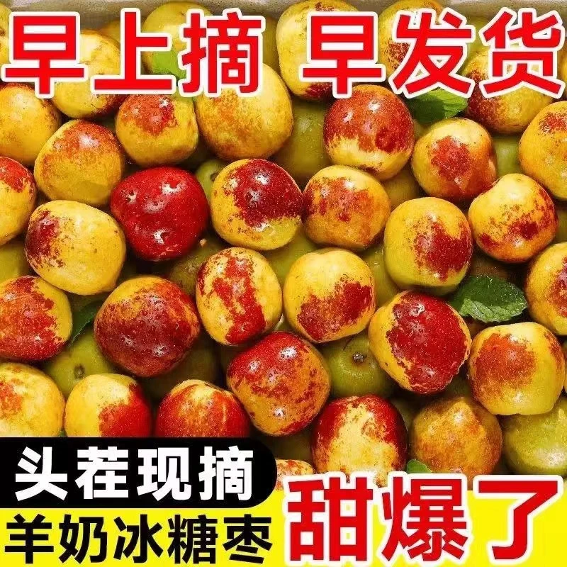 【顺丰包邮】陕西大荔冬枣现摘脆甜当季孕妇新鲜水果脆甜大红枣