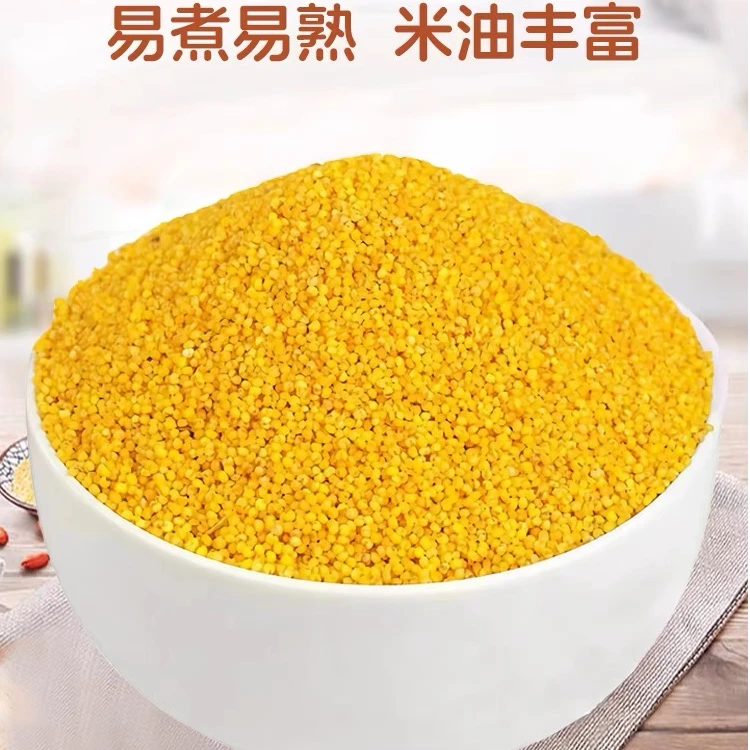精品苗小米5斤 小米粥 早餐米 月子粥