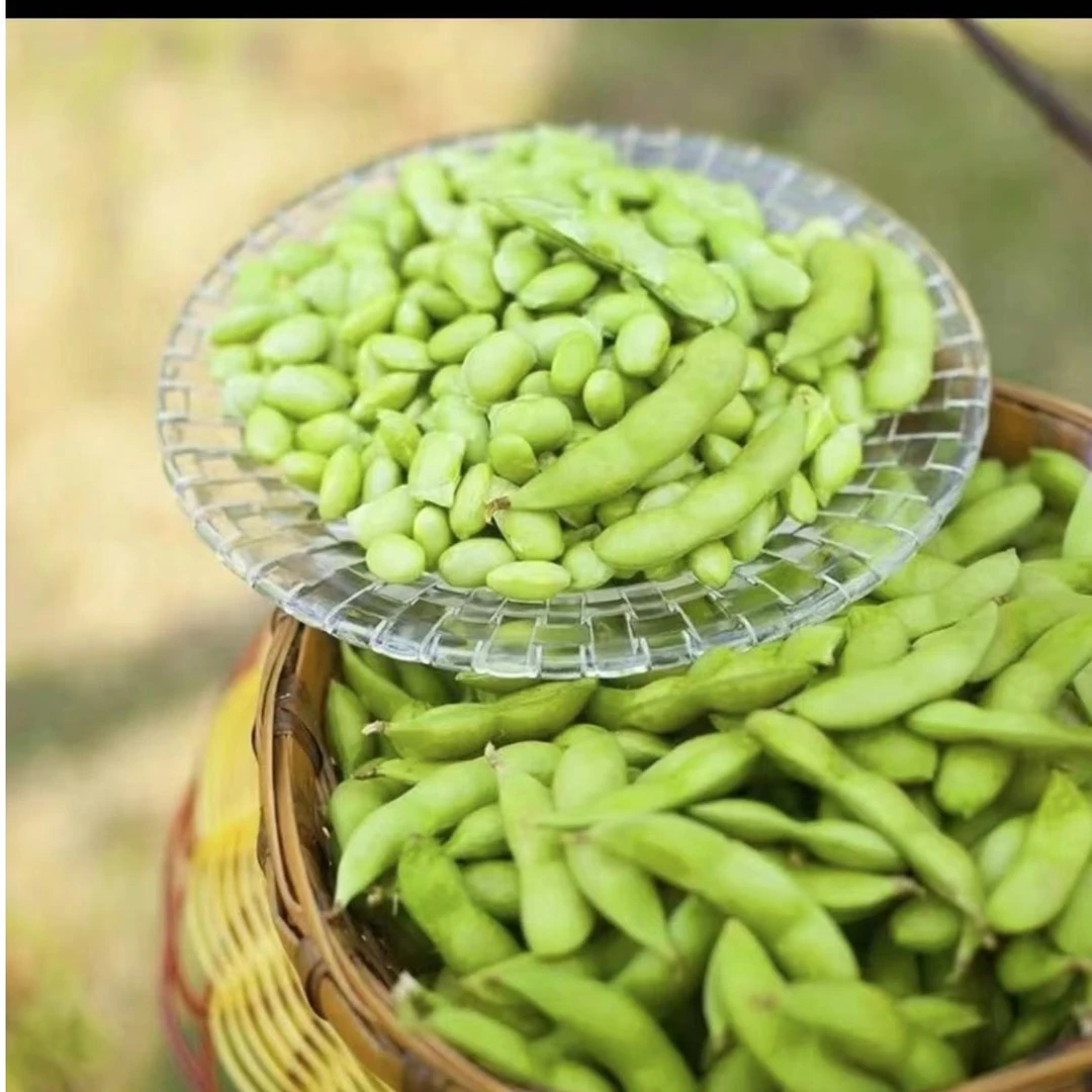 新鲜毛豆现摘现发果粒饱满农家自种带壳青豆鲜嫩毛豆3斤5斤加冰