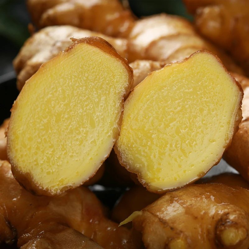 新鲜小黄姜新鲜生姜现挖高山沙姜土姜