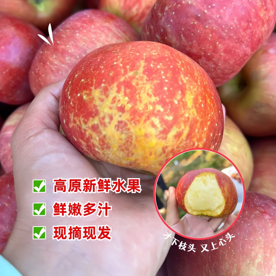 【家庭装】2024头茬苹果云南昭通现采现摘果园直发鲜脆甜多汁