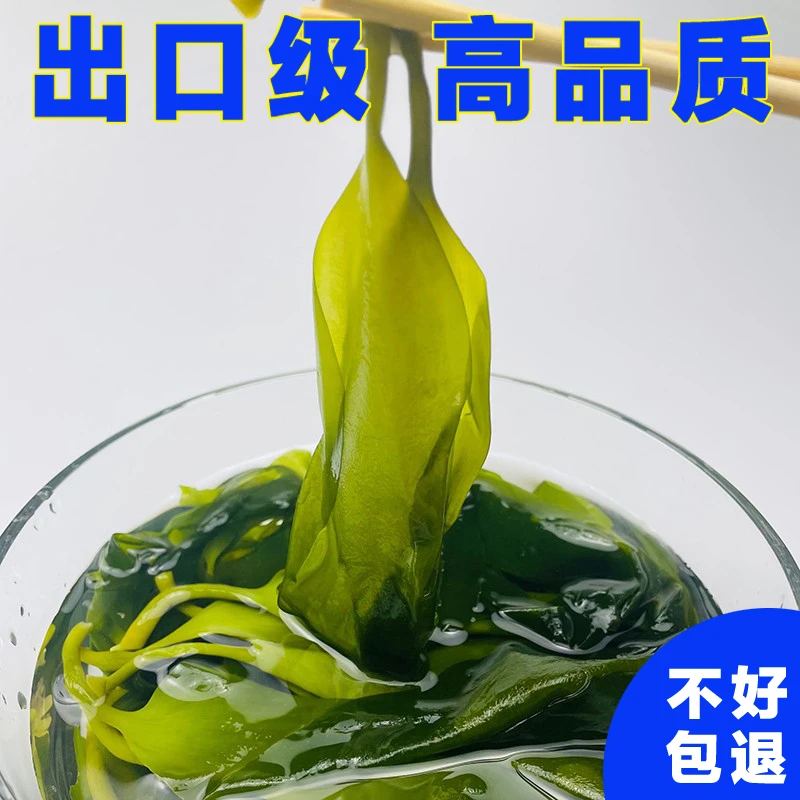 新鲜海带苗盐渍荣成5斤2斤1斤小苗火锅凉拌秒烫半干嫩苗小海带芽