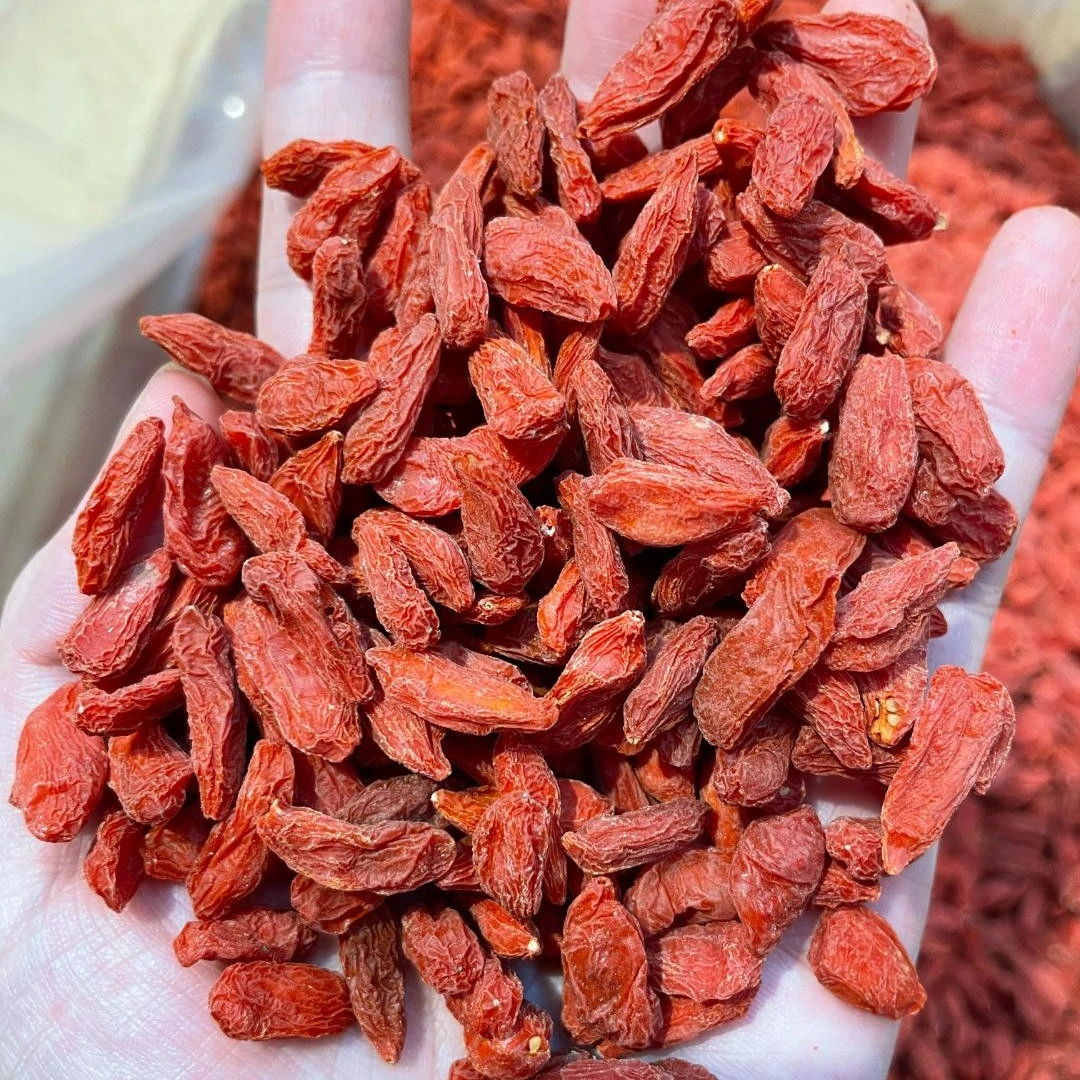 伊桦食养  大枸杞 100g/包
