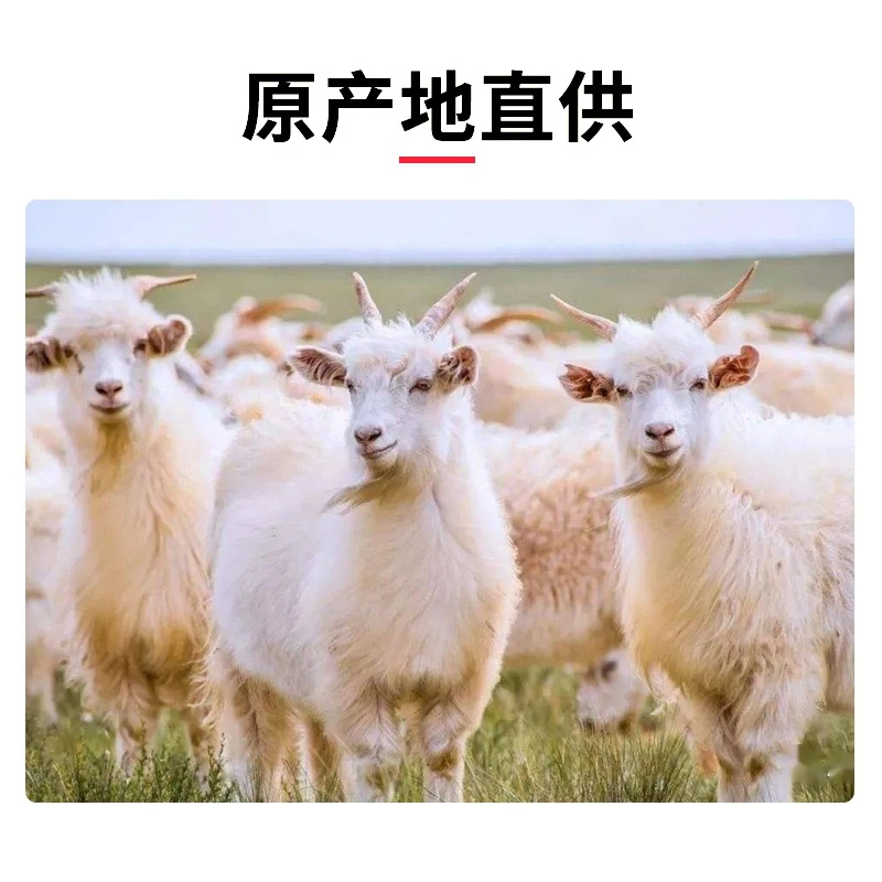阿尔巴斯山羊肉整羊鄂托克原产地散养整扇50%腿排5斤专属
