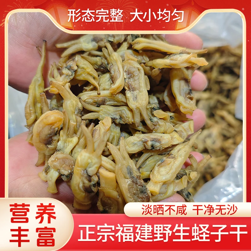 福建海鲜特产福安年货新货特级蛏子干饱满海蛏干无沙大蛏干干货