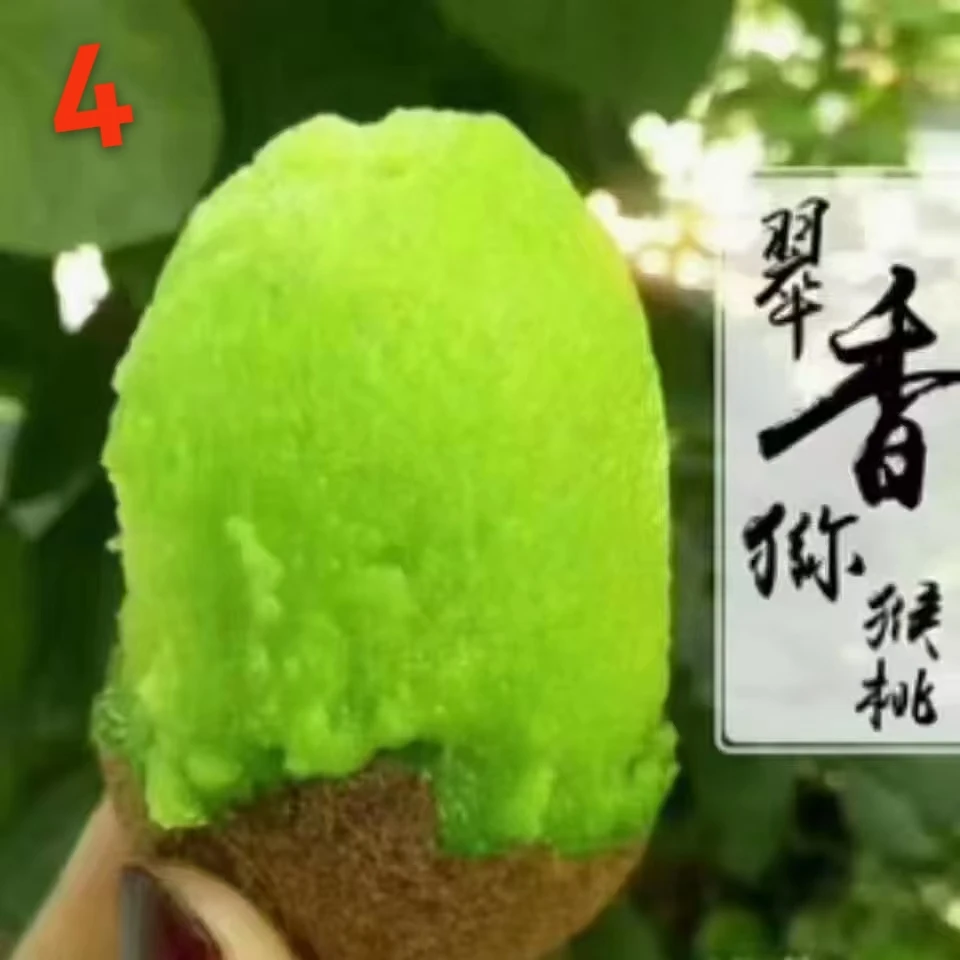 陕西翠香新鲜猕猴桃，中果